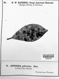 Image Associated With the Occurence